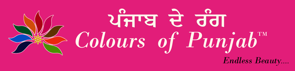 colors of punjab.jpg (2)