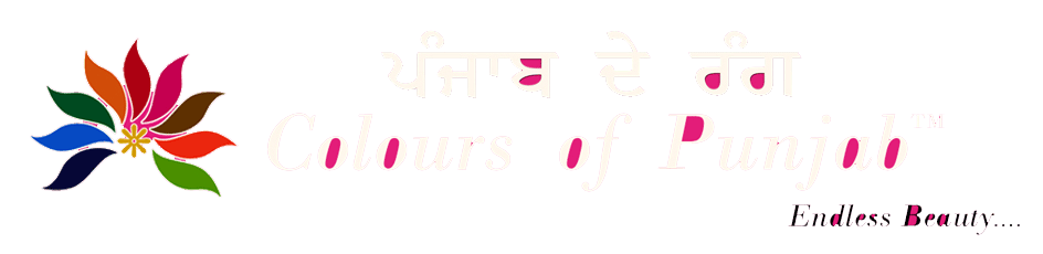 colors of punjab